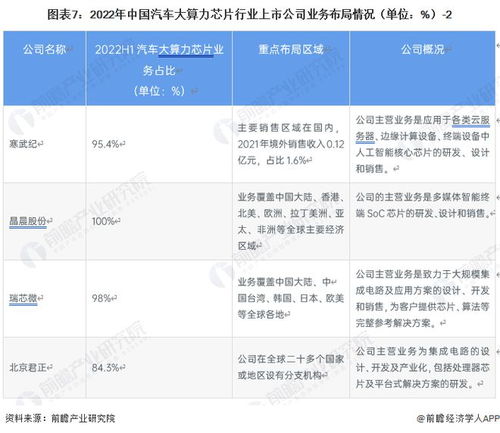 2023年中國汽車大算力芯片行業(yè)競爭格局與市場份額深度洞察